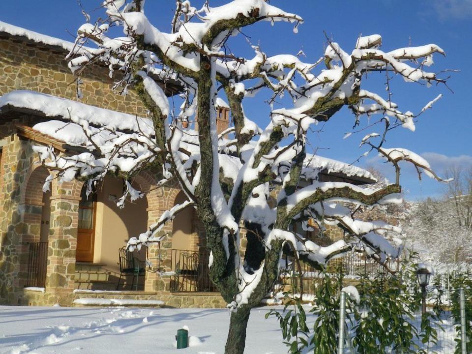 Agriturismo Casal Gheriglio Lucignano Dış mekan fotoğraf